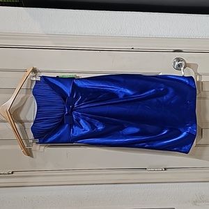 Delaru NWT special ocasion dress size 4